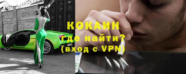 гашик Тихвин