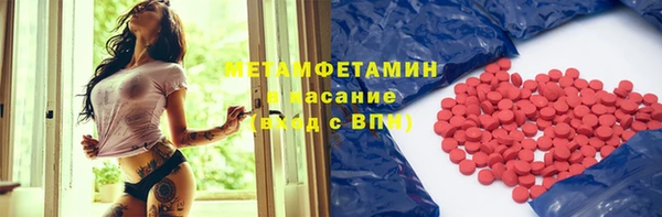 прущие грибы Тында