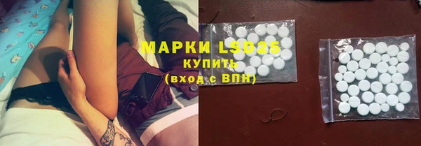 мяу мяу мука Гусев