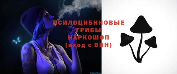 гашик Тихвин