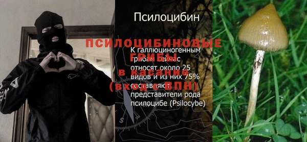 мяу мяу мука Гусев