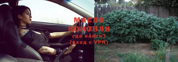 гашик Тихвин