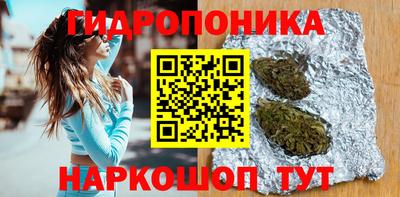 МДПВ Волжск