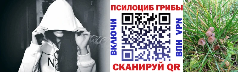 Галлюциногенные грибы ЛСД  Заводоуковск 