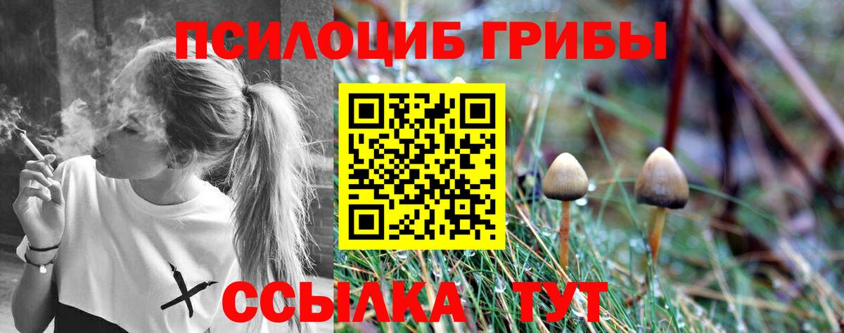 Галлюциногенные грибы прущие грибы Заводоуковск