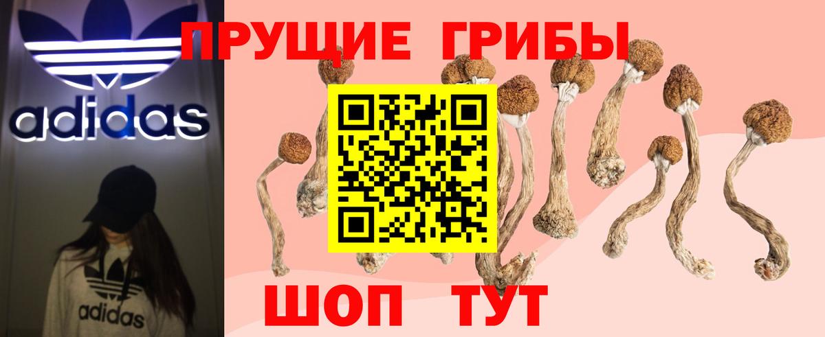 Галлюциногенные грибы GOLDEN TEACHER  Псилоцибиновые грибы Psilocybe  Вход с VPN  Заводоуковск 
